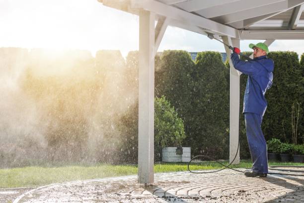 Professional Pressure Washing Services in Newark, NY