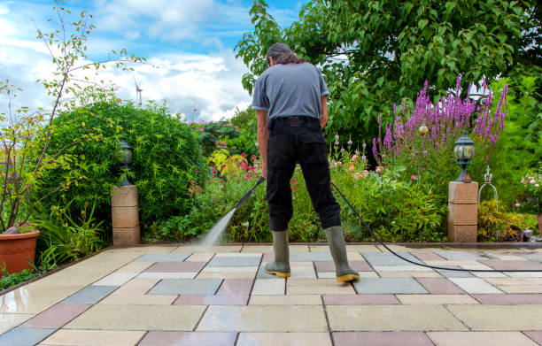Best Spring Cleaning  in Newark, NY