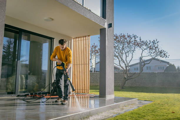 Best Gutter Cleaning  in Newark, NY